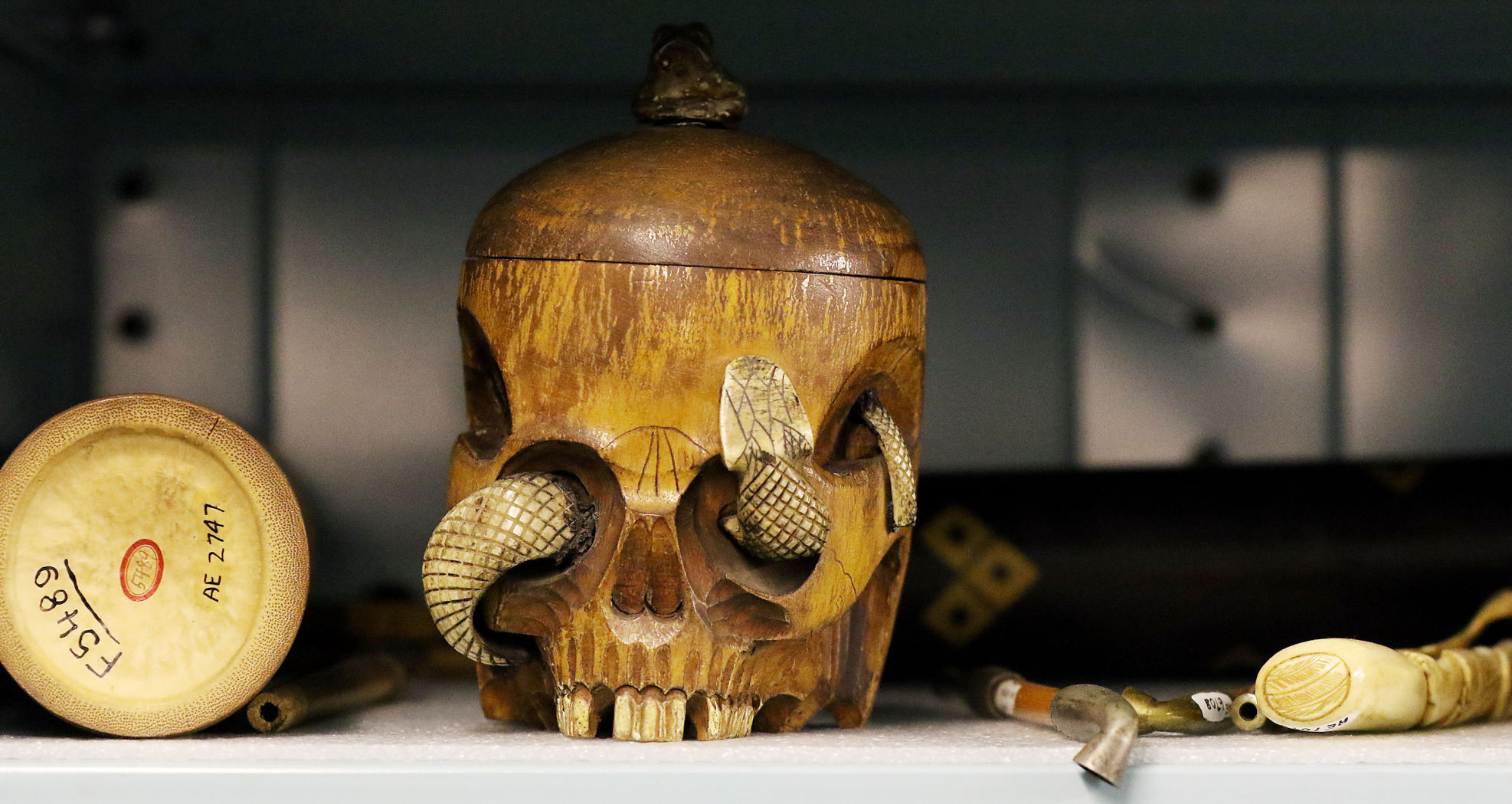 Off Limits: Putnam Museum